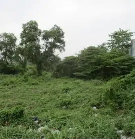 Raya plumbon cirebon jawa barat