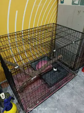 dijual Kandang bekas iguana cocok untuk kucing