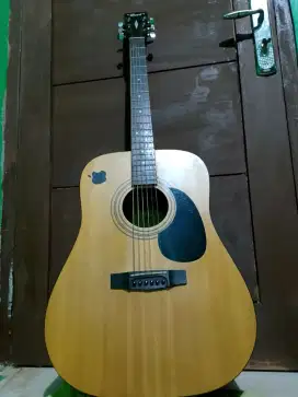Gitar akustik cort ad810 op