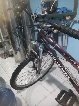 Mtb uk 26 basic united