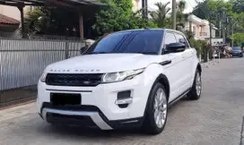 Evoque Dynamic Lux 2014/13 Putih