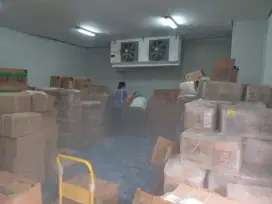 Grosir dan Ecer Durian Beku Yogyakarta
