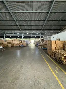 INVESTASI GUDANG BAGUS TANAH LUAS, PETERNAKAN KAPUK JAKARTA BARAT SHM