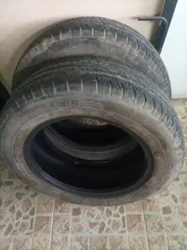 Ban Bekas GT Radial Champiro Eco