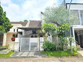 Rumah Kontrakan Minimalis Siap Huni Daerah Tidar, Row Jalan Lebar