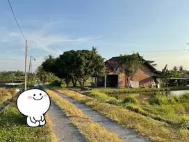 tanah di dekat rs mitra paramedika Ngemplak