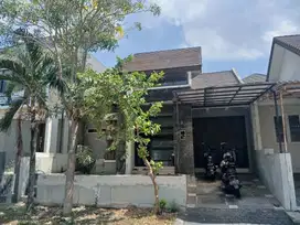 Termurah Rumah 1lt Minimalis Citraland Utama Surabaya Barat