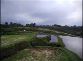 Dijual Tanah di Penebel Tabanan Bali 8720m2
