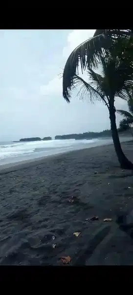 6000 m2 land for sale in pantai klecung Tabanan BALI
