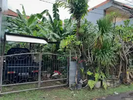 Tanah kawasan renon dijual strategis