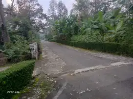 DIJUAL KEBUN DURIAN DI JUMANTONO
