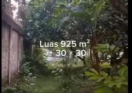 tanah murah trategis