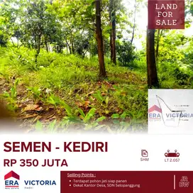 Tanah DIJUAL Di Desa Selopanggung Kec. Semen Kab. Kediri ada tanaman p