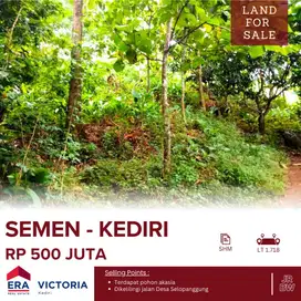 Tanah DIJUAL Di Desa Selopanggung Kec. Semen Kab. Kediri ada tanaman p