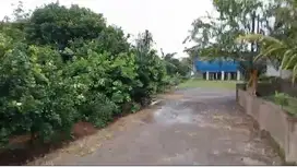 Dijual Tanah Perternakan di Subang Jawa Barat