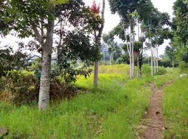 Tanah MURAH SHM daerah Dago view perbukitan u/resort,villa,resto dll