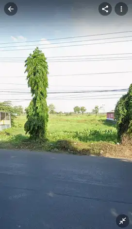 DIJUAL TANAH STRATEGIS 0 JALAN BESAR PRAMBON SIDOARJO