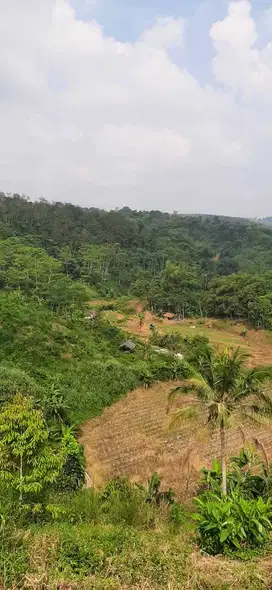 DIJUAL TANAH 3.5 HA PINGGIR JALAN DI DARANGDAN PURWAKARTA