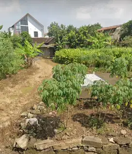Tanah Tembalang Mulawarman Undip