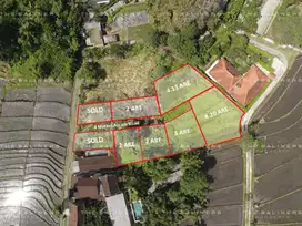 FREEHOLD LAND IN NYANYI, PERFECT FOR YOUR DREAM VILLA