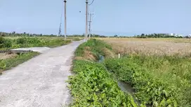 Dijual Tanah 19are jln Subak .Pantai .Kedungu .Pantai Cinta Tabanan
