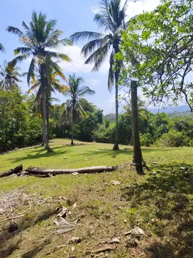 Dijual Tanah 88are View Gunung .Sawah.Jungle .Pantai Soka .Tabanan