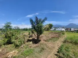 Tanah Dalam Lingkungan Padat Malang; Dekat Kampus UIN 3