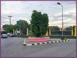 Tanah Dijual Jl.Pasar Hewan Selatan Kampus UMY Hari Ini