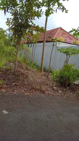 tanah dekat stp nusa dua Badung Bali