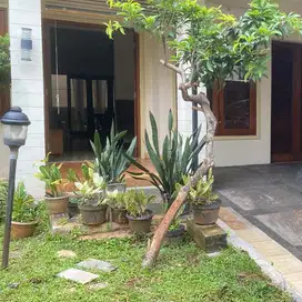 Disewakan 130 juta Town House Noor Residence 4 Kamar