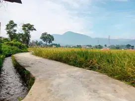 TANAH SAWAH MURAH AKSES  JALAN RAYA CIMAUNG
