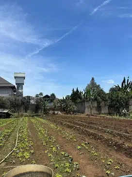 Tanah Siap Bangun Di Setiabudi Regency