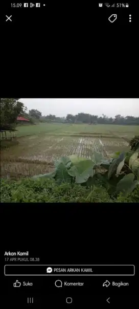 Tanah sawah produktif