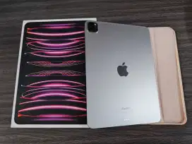 Ipad Pro M2 128GB