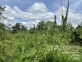 Di jual tanah Bukit Timah, Kota Dumai, Riau
