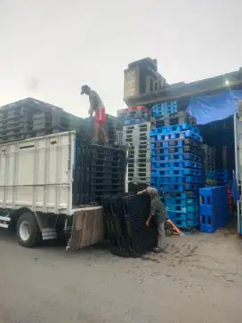 Rayhan Pallet Plastik second bagus dan murah