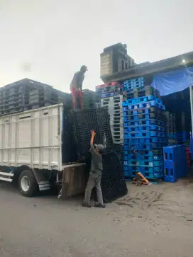 Rayhan Pallet Plastik second bagus dan murah