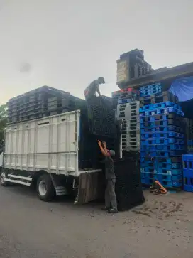 Rayhan Pallet Plastik second bagus dan murah