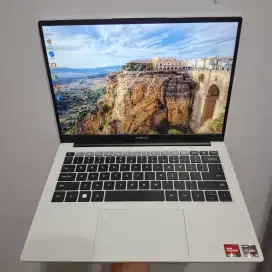Advan workplus Ryzen 5 16/512
