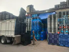 Rayhan Pallet Plastik second bagus dan murah