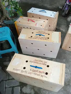 Box ayam Monggo