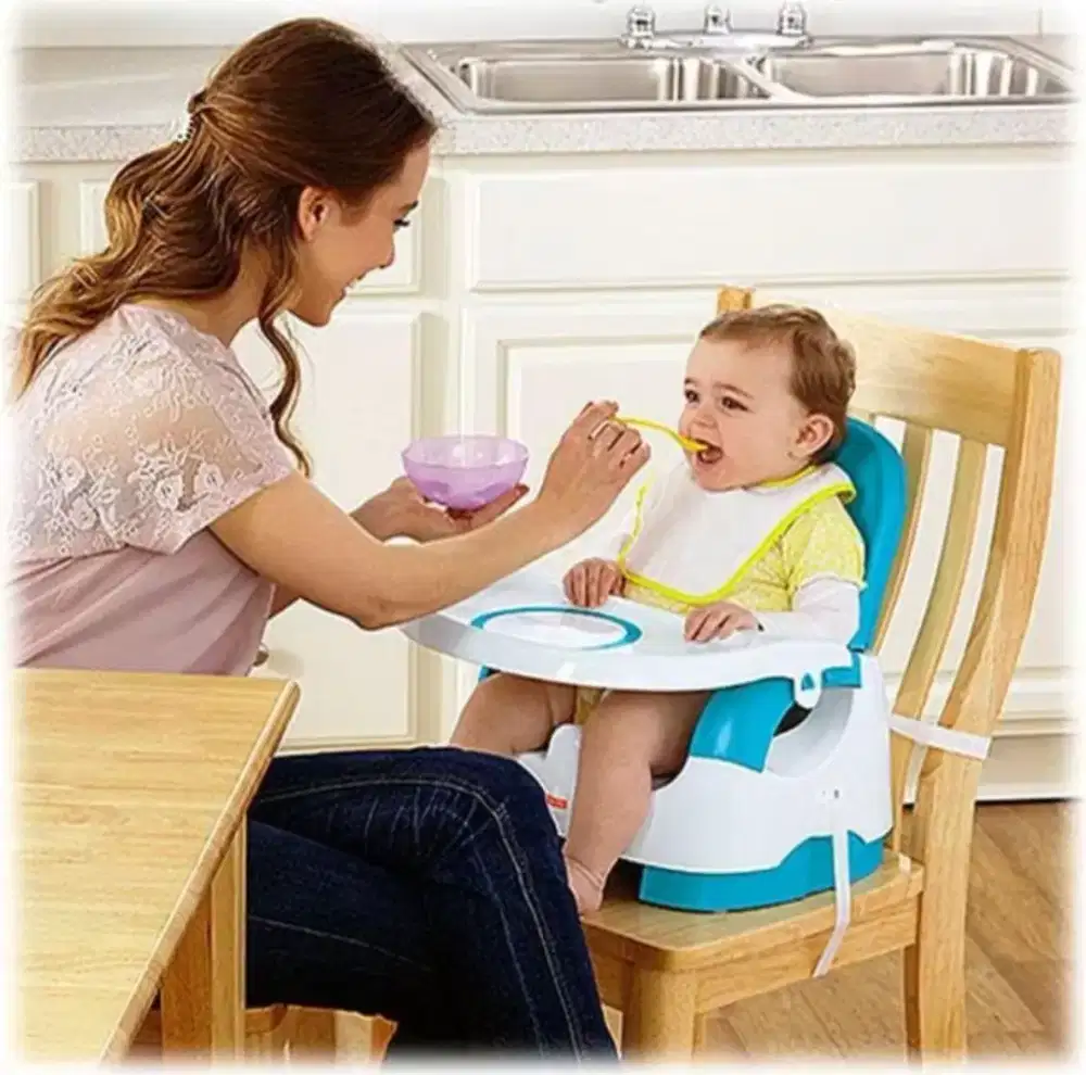 Baby chair fisher price portable