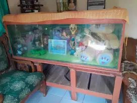 Jual cepat aquarium, siapa cepat dia dapat.