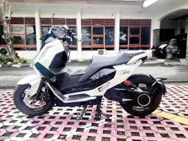 Alva cervo old 2023