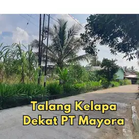 Tanah pinggir jalan 75 jt Pinggir Jalan