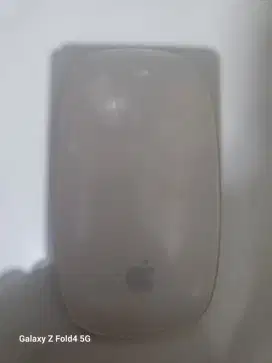 Magic Mouse Apple
