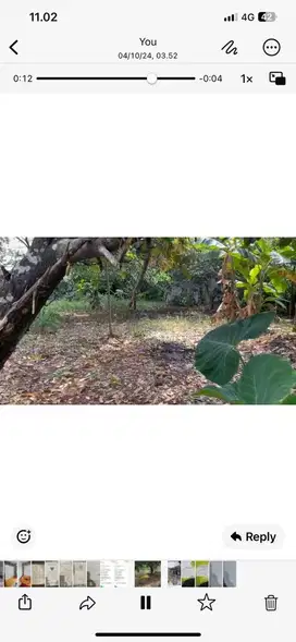Dijual Murah Tanah Kebun Bojong Gede