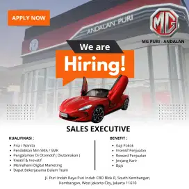 Loker Sales Executive MG Puri