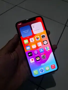 iPhone 11 pro wifi only