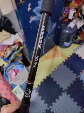 Trekingpole merk eiger